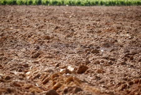 Dry land in a field affected by drought is pictured in Verzeille near Carcassonne