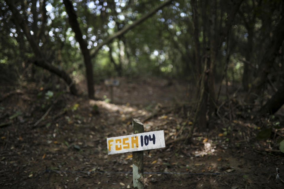 A wooden sign indicates clandestine grave number 104 where almost 300 were found in Colinas de Santa Fe, Mexico, Monday, Oct. 15, 2018. A Mass was held at this site Monday, one day before the Solecito Collective is to be honored by Notre Dame for its work locating the remains of missing people in Veracruz state. The Solecito Collective is made up people searching for their missing loved ones. (AP Photo/Felix Marquez)