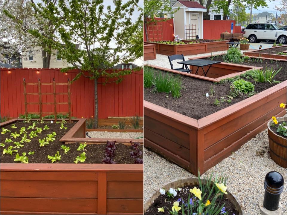 Red-painted wooden planters filled with dirt and green and purple green plants, sprouts, and flowers.