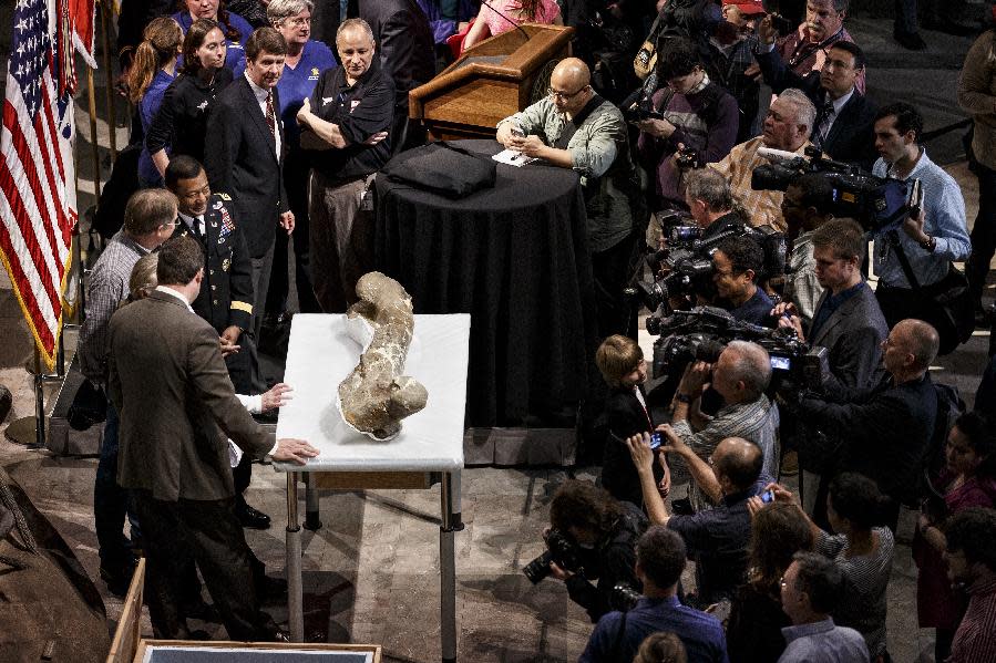 The fossilized bones of a Tyrannosaurus rex are displayed for the media during a ceremony at the Smithsonian Museum of Natural History in Washington, Tuesday, April 15, 2014. The Tyrannosaurus rex is joining the dinosaur fossil collection on the National Mall on Tuesday after a more than 2,000-mile journey from Montana. For the first time since its dinosaur hall opened in 1911, the Smithsonian's National Museum of Natural History will have a nearly complete T. rex skeleton. FedEx is delivering the dinosaur bones in a truck carrying 16 carefully packed crates. (AP Photo/J. Scott Applewhite)