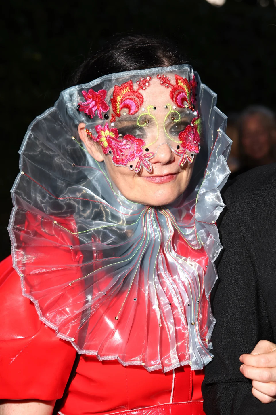 Björk wearing an elaborate outfit with a translucent ruffled collar and a mask featuring colorful floral designs. Red carpet event attire