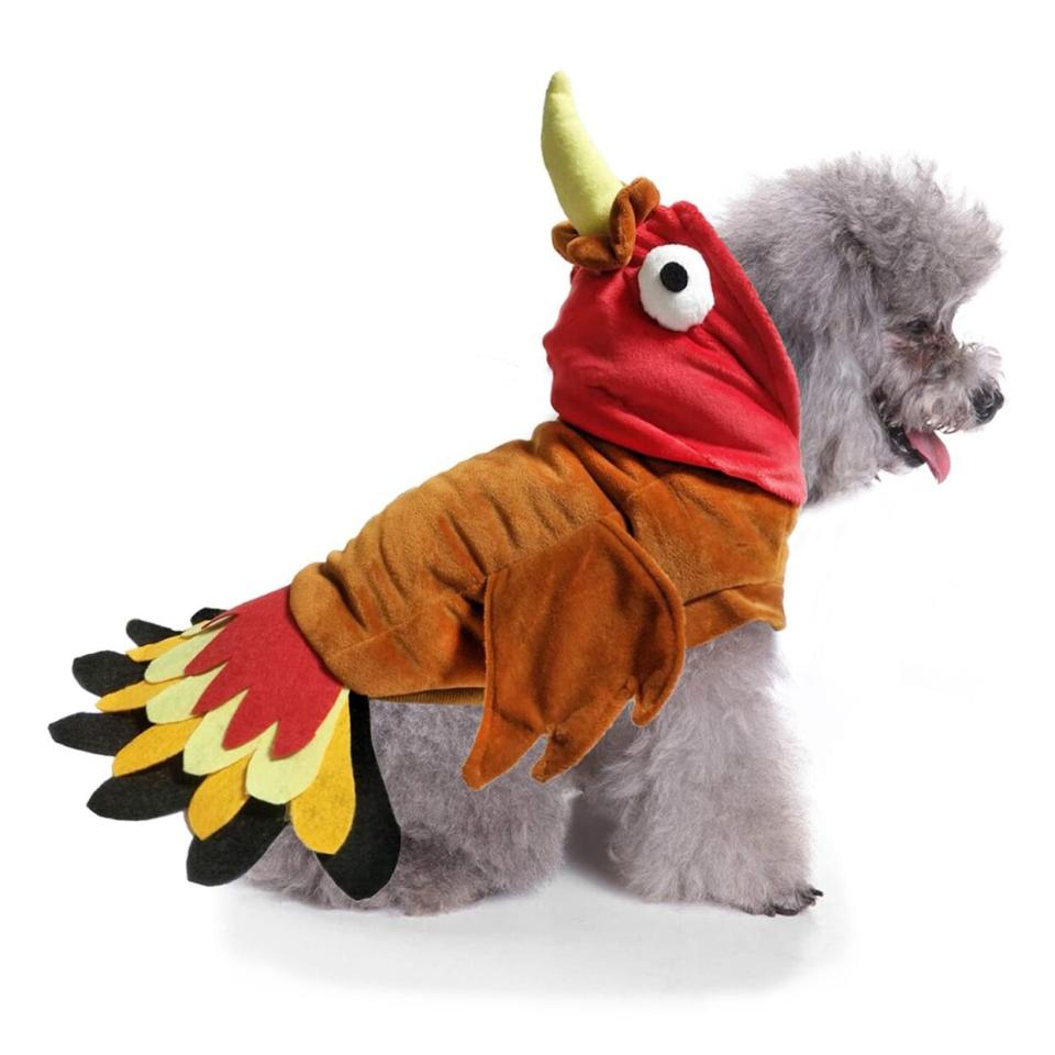 Dog wearing a BWOGUE Turkey Dog Costume on a white background