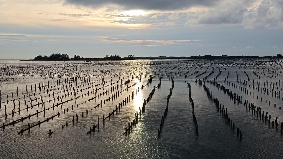 北門濕地的潮間帶、泥灘地、紅樹林、潟湖、舊鹽田，是濱海社區製鹽、養殖牡蠣、捕鰻苗的生活產業區，也是觀賞黑面琵鷺及鷗科鳥種的賞鳥勝地。記者謝進盛／攝影