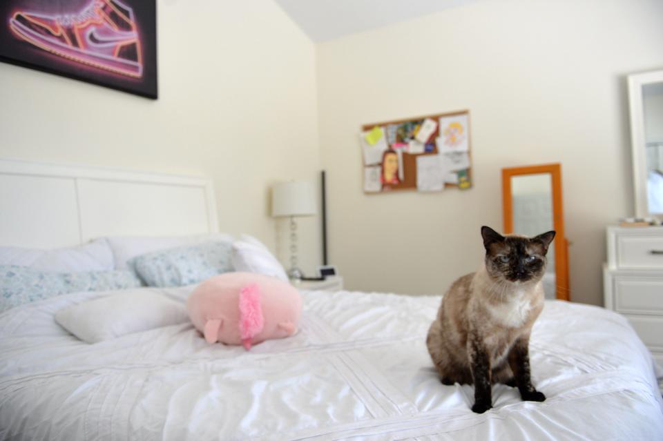 Lilly Glaubach's cat, Love, sits on the bed in Lilly's bedroom, which her family has preserved since her death nearly a year ago.  Lilly was killed last year after a car hit her as she was crossing Bay St. on her bike near Pine View School. 