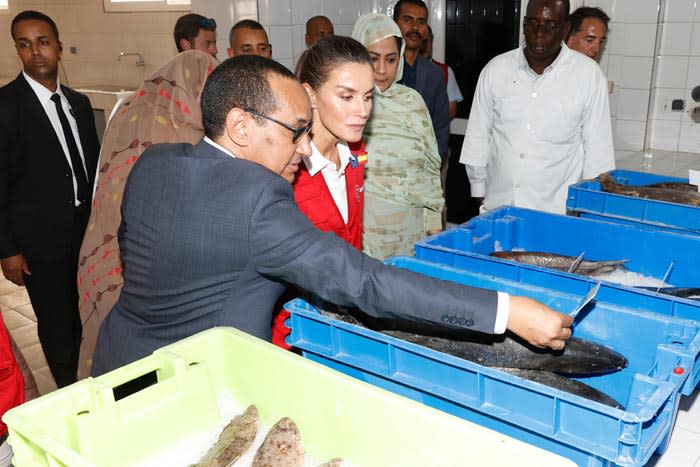 La reina Letizia en Mauritania