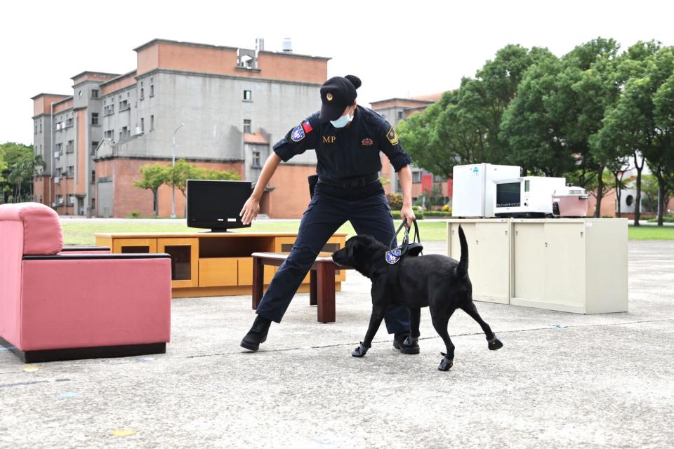 緝毒犬進入營區後，可立即聞出毒品藏在何處。林啟弘攝