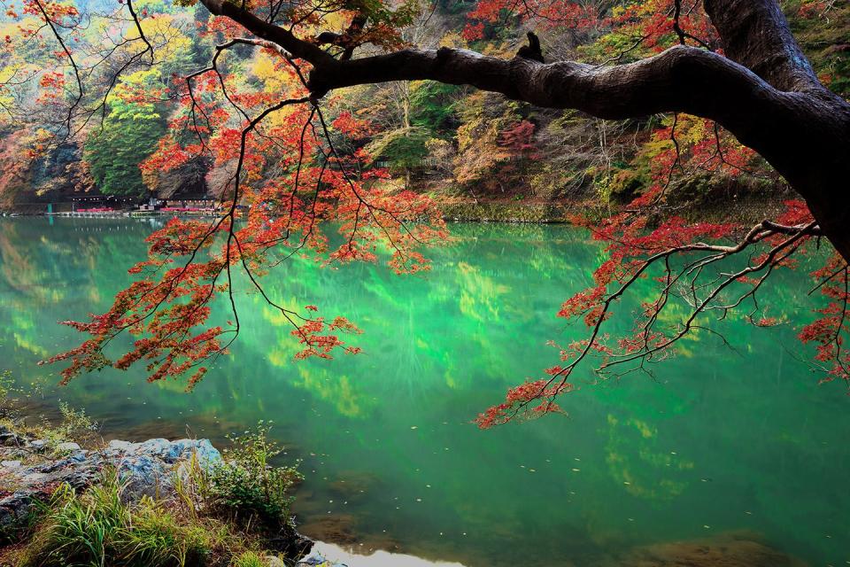 Katsura River, Tokyo