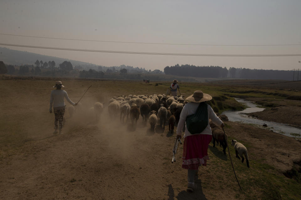 Personas conducen un rebaño por la orilla de la presa Villa Victoria, la principal fuente de suministro de agua para los habitantes de la Ciudad de México, en las afueras de Toluca, Estado de México, el jueves 22 de abril de 2021. (AP Foto/Fernando Llano)