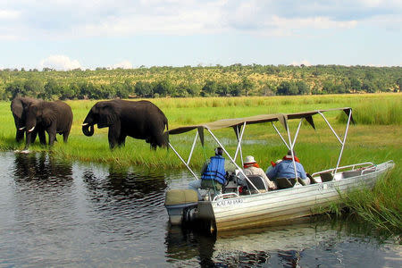 FILE PHOTO - Foreign tourists in safari riverboats observe elephants along the Chobe river bank near Botswana's northern border where Zimbabwe, Zambia and Namibia meet on March 4, 2005. REUTERS/File Photo