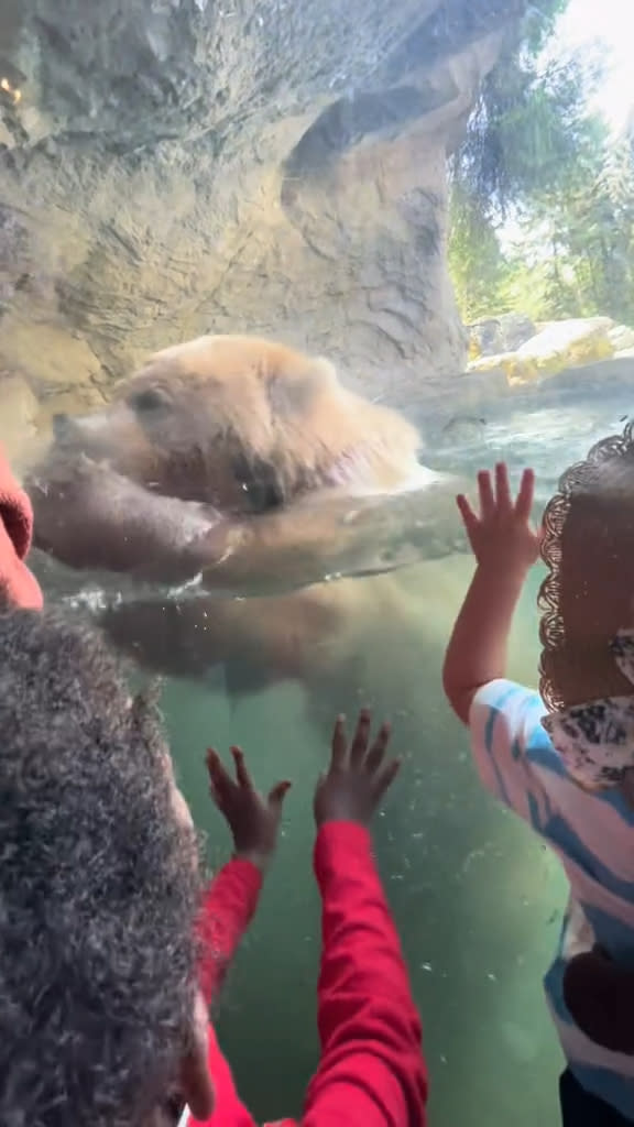 Juniper devours the ducklings in front of the aghast partygoers. Rachelle via Storyful