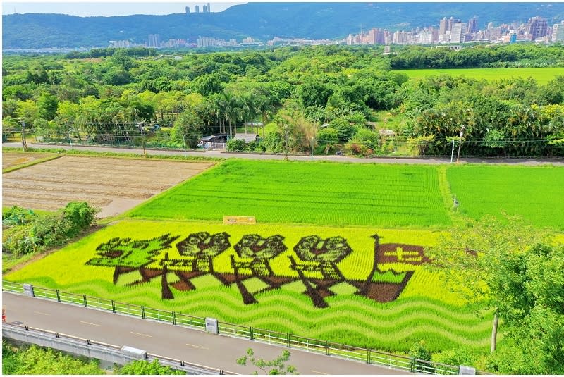 台北關渡一日遊