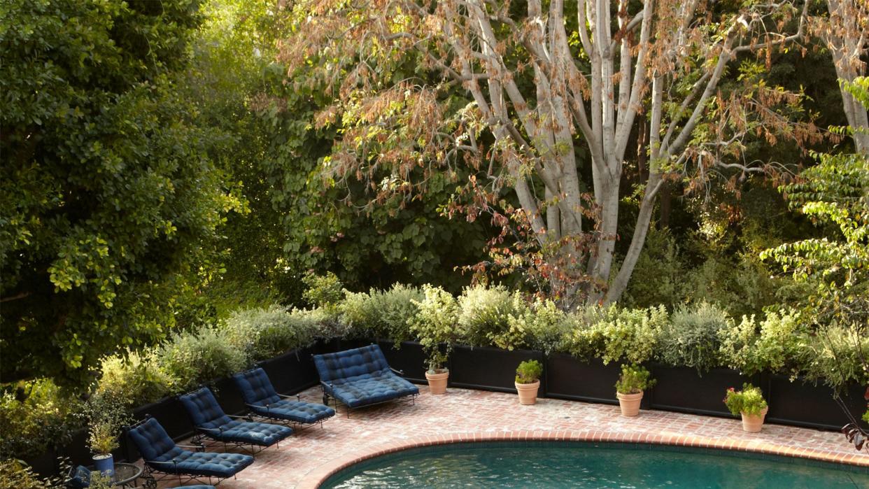 a pool surrounded by trees