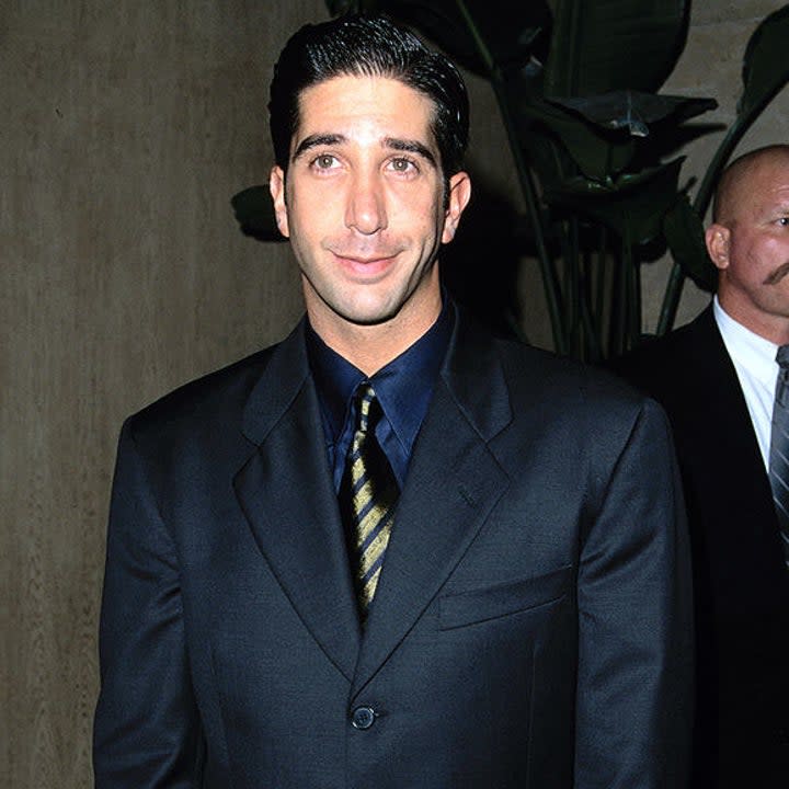 David Schwimmer during Cast of 