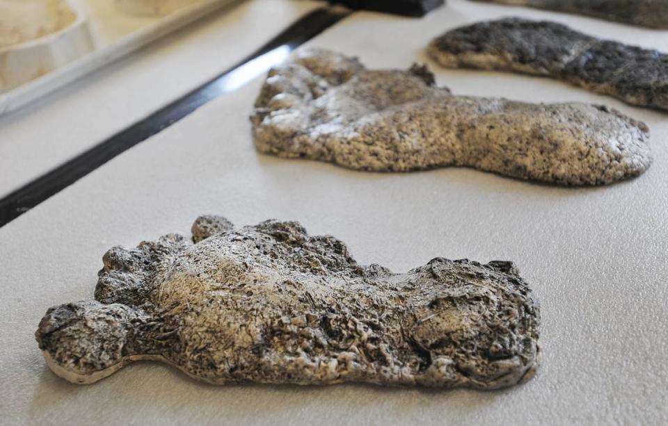 A few different Sasquatch feet casts are shown on a counter.