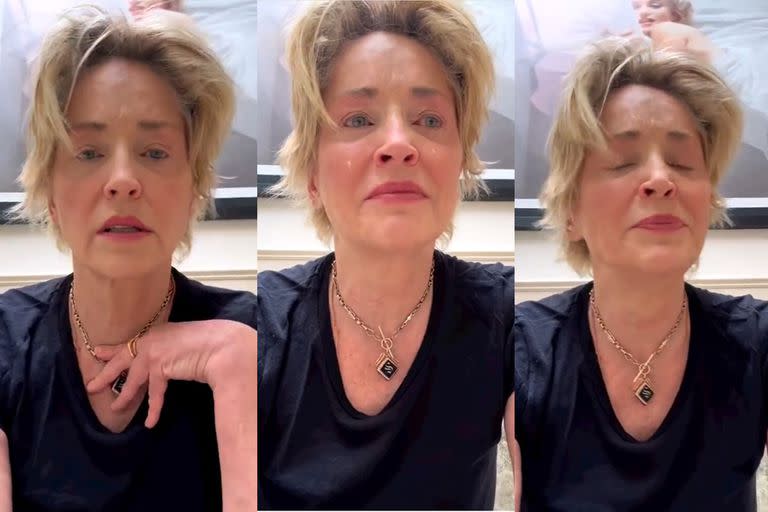 Entre lágrimas, Sharon Stone rinde homenaje a su hermano tras su repentina muerte: “Es un momento de dolor inconmensurable”