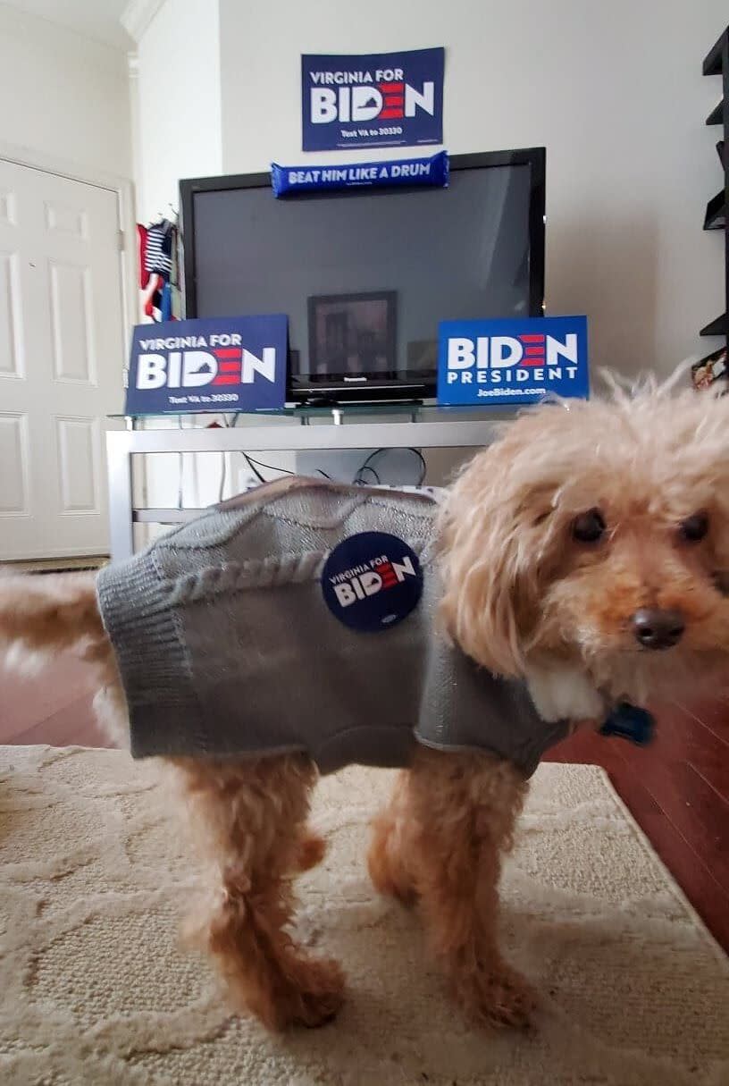 Amanda Linton, a Biden super fan in Virginia, named her dog after the Democratic presidential nominee.  (Photo: Amanda Linton)