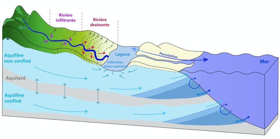 Schéma illustrant la connectivité souterraine des zones humides littorales. M. Erostate, Fourni par l'auteur