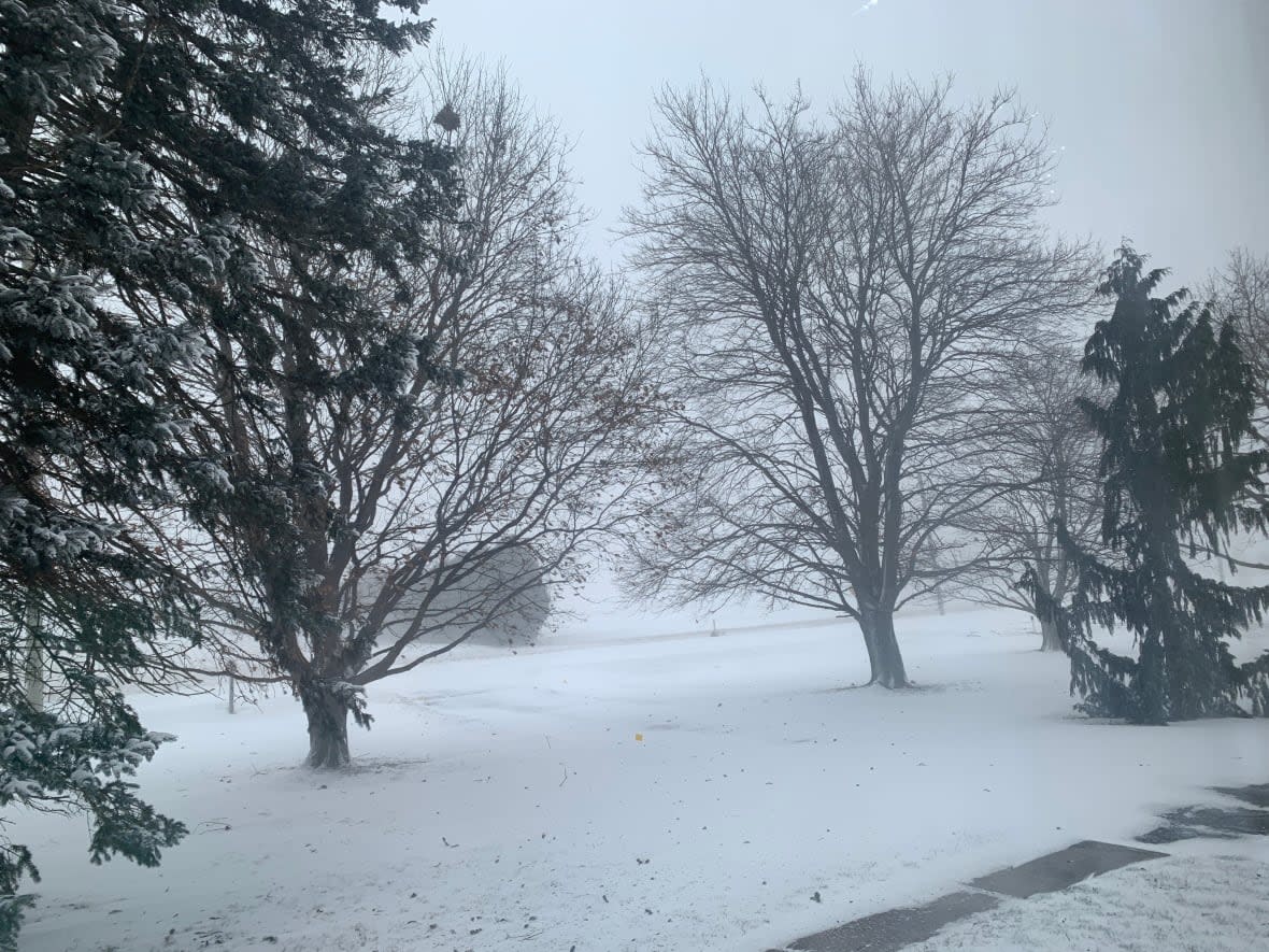 Windsor-Essex and Chatham-Kent are now under a winter weather travel advisory as a snow storm moves through southern Ontario Friday afternoon.  (Stacey Janzer/CBC - image credit)