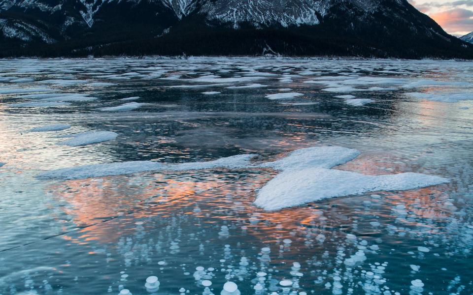 Abraham Lake