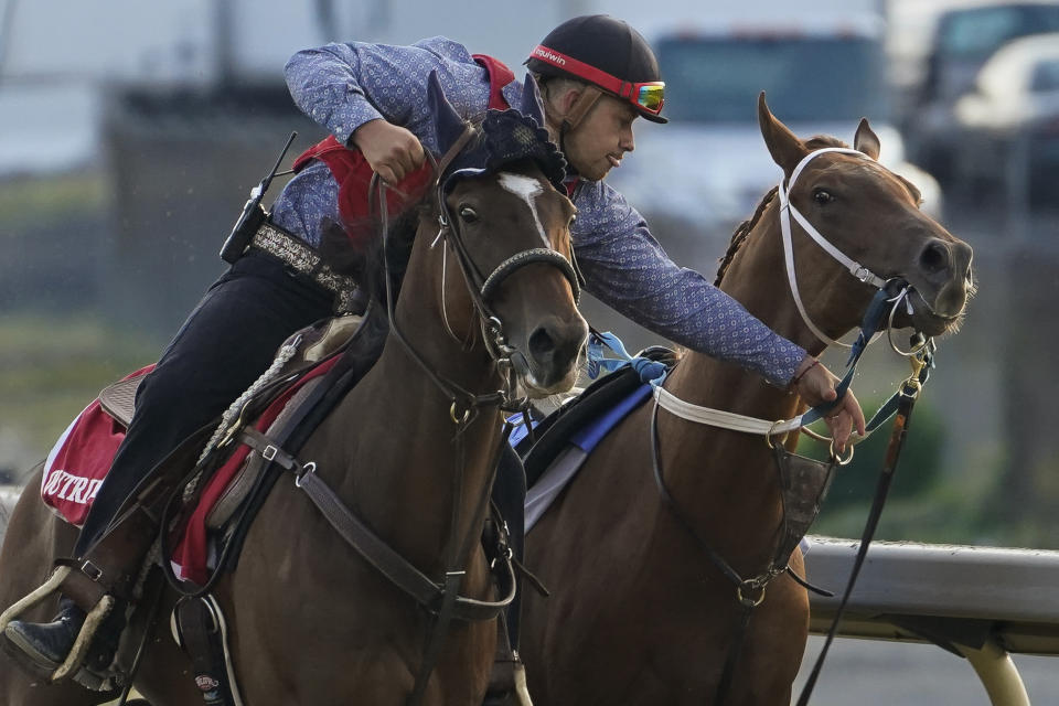 Outrider Ruiz Gonzalez wrangles a runaway horse at full gallop on a training track during morning workouts ahead of the Belmont Stakes horse race, Friday, June 9, 2023, at Belmont Park in Elmont, N.Y. (AP Photo/John Minchillo)