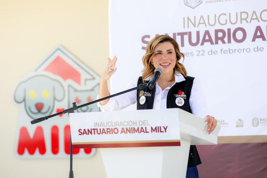 Marina del Pilar informa sobre avances de Santuario Animal “Mily” en Mexicali 