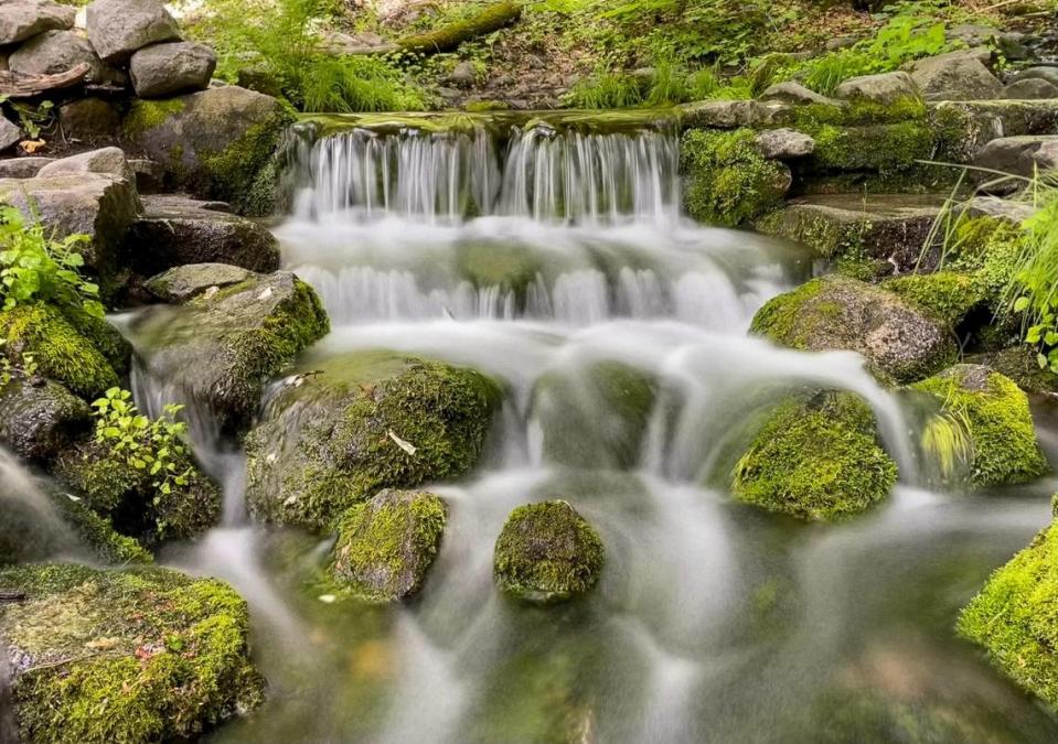 Water from Fern Spring calmly flows over small rocks in this long exposure photographed in Yosemite National Park on Tuesday, June 13, 2023.