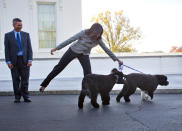 <p>First lady Michelle Obama welcomed the official White House Christmas tree to the White House wearing a gray wool blazer with asymmetrical buttons and black trousers. She did so with her dogs Bo and Sunny, who were obviously excited by the arrival of the tree, which came from Bustard’s Christmas Trees in Lansdale, Pennsylvania. <i>Photo: AP</i><br></p>
