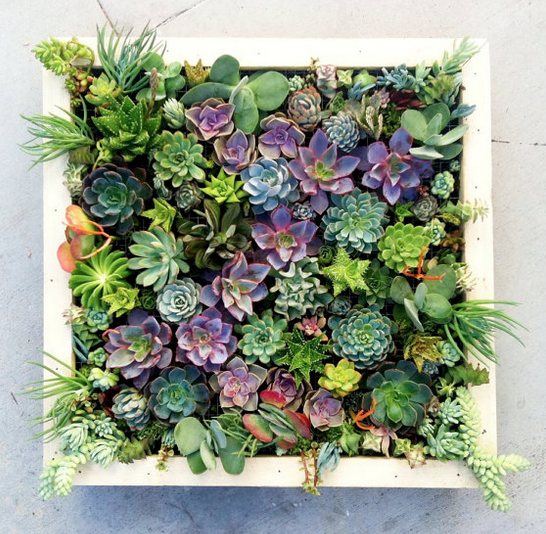 Garden Trend No. 5: A Vertical Take on Succulents