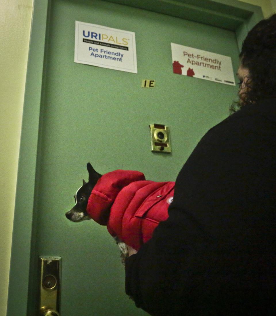 Peppah, a pet chiquawa, wears a doggie coat while being carried by her owner to their apartment, inside a shelter for victims of domestic violence, Tuesday March 18, 2014 in New York. The shelter is the city’s first pet-friendly domestic violence shelter, one in a fast-growing number of similar sanctuaries around the country that reflect growing awareness that animals can be both victims of family violence and key factors in their owners’ willingness to flee. (AP Photo/Bebeto Matthews)