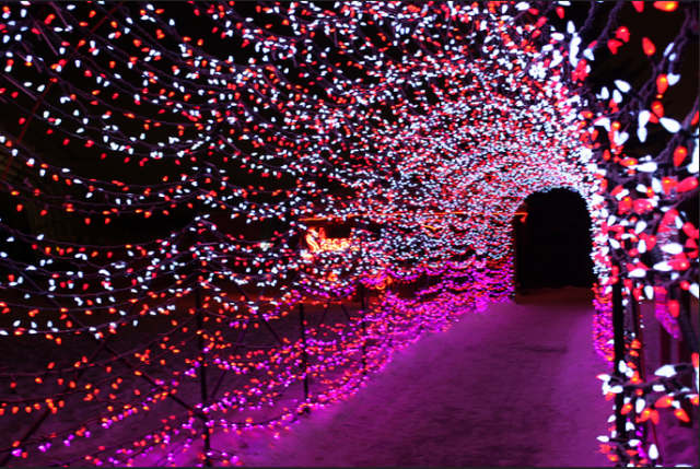 entrance light decoration