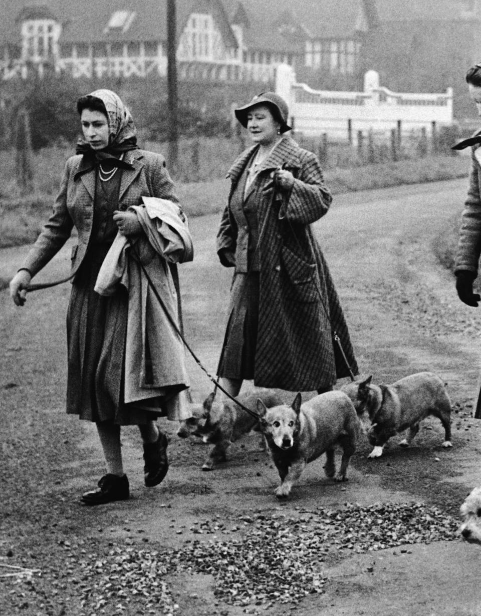 FILE - Britain's Queen Elizabeth II and the Queen Mother take their Corgi dogs out for a stroll during a visit to the royal stud at Sandringham, England on Nov. 19, 1956. Queen Elizabeth II's corgis were a key part of her public persona and her death has raised concern over who will care for her beloved dogs. The corgis were always by her side and lived a life of privilege fit for a royal. She owned nearly 30 throughout her life. She is reportedly survived by four dogs. (AP Photo)