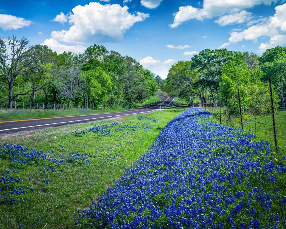 Photo credit: Alamy