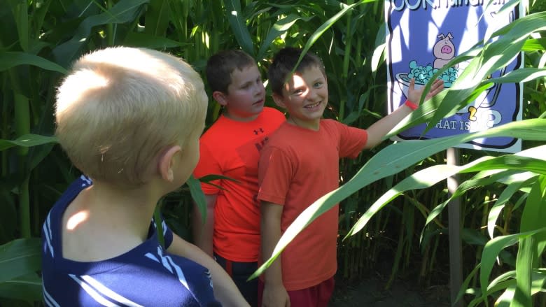 How do you honour Fort McMurray wildfire heroes? Grow a corn maze