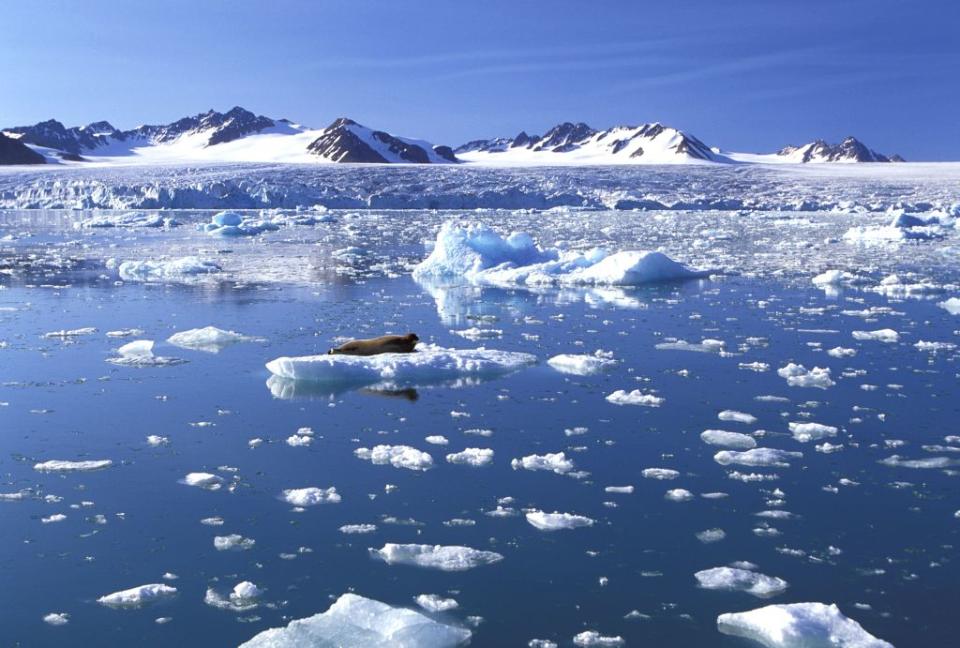 The beautiful-but-barren Arctic Ocean region, where Ice Camp scientists are posted for weeks at a time. Gamma-Rapho via Getty Images