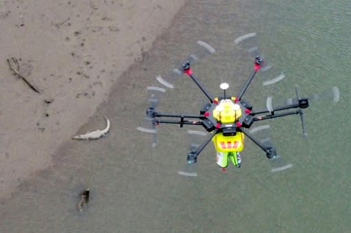 The high-tech drones known as 'croc spotters' were tested along riverbeds, detecting animals as they went