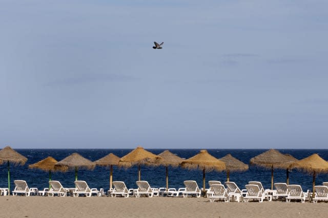 A pigeon flies over empty deckchairs on