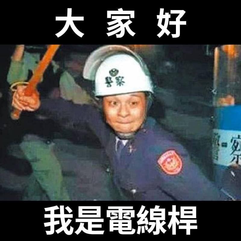 時任行政院長江宜樺說，太陽花學生流血是自己跑去撞電線桿造成的，網友狠酸，原來太陽花打人的警察是電線桿。   圖：翻攝網路