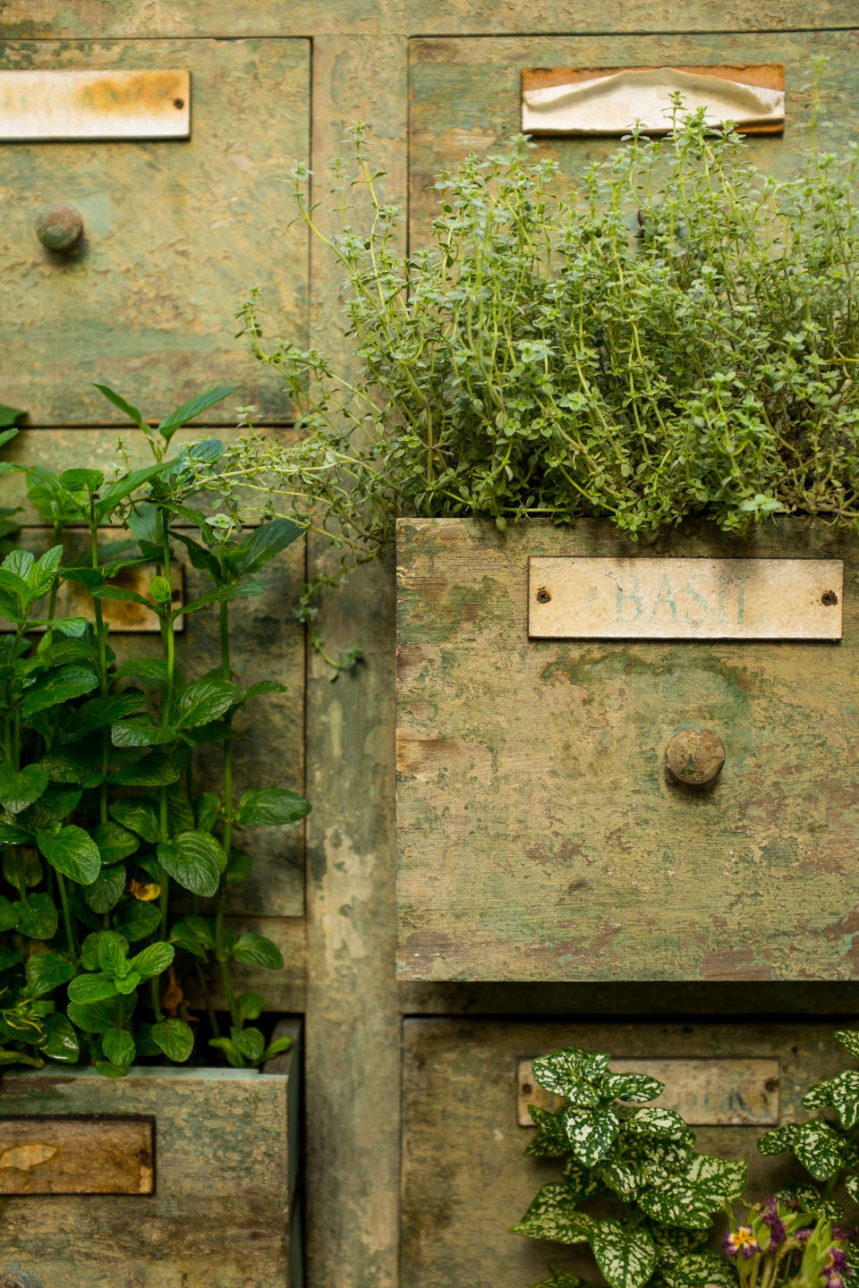 <p> There is nothing we like more than upcycling a vintage chest to turn it into a stylish planter. Bric a brac and junk shops are great places to search for pieces that can be planted up for one of the best herb garden ideas that&apos;s very &apos;of the moment&apos;. </p> <p> The latest upcycling look is giving old chests and cupboards a new lease of life. It&apos;s a big trend on Instagram and Pinterest, where you&apos;ll find plenty of inspiration if want to take your upcycling game to the next level.&#xA0; </p> <p> The more vintage the finish the better if you want to show off your plants in a quirky way, so go for wood that looks &apos;distressed&apos;. </p>