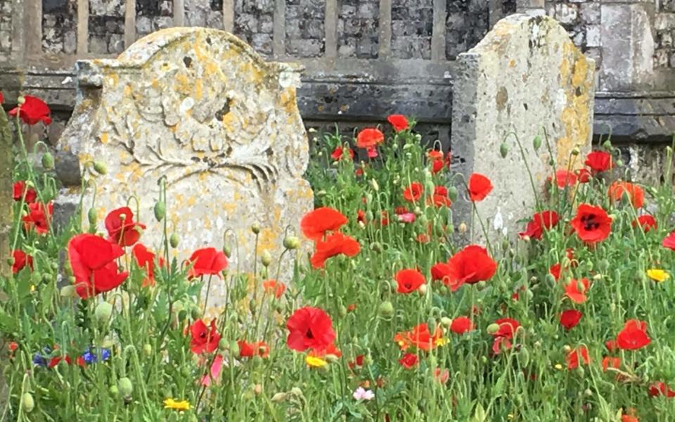Row on row: bright wildflowers surround the gravestones of a church in Cromer, Norfolk -  JetJensen / Stockimo / Alamy Stock Photo
