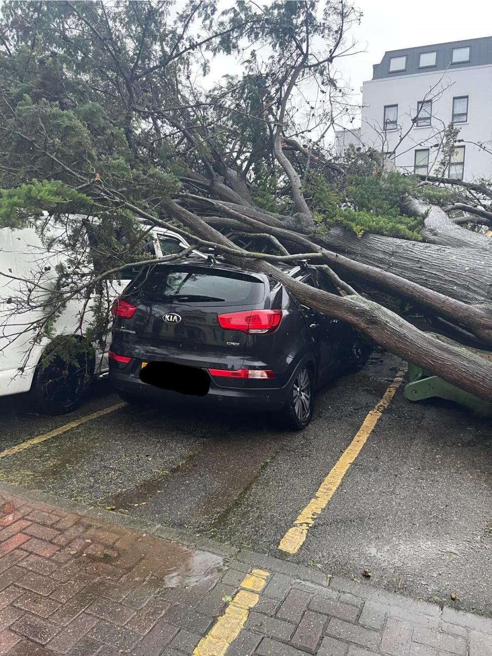 Several residents reported their cars had been severely damaged in the storm (Supplied)