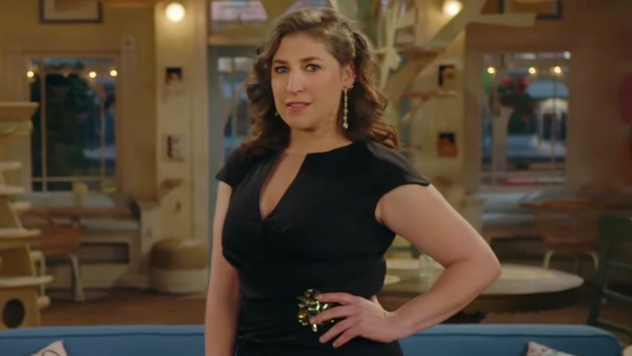  mayim bialik call me kat 