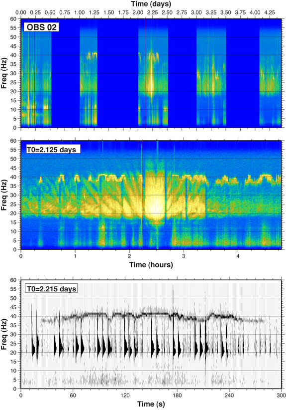 Whale calls recorded during a seismic survey in the Gulf of California. <p>Top: This spectrogram of ocean sound was recorded by a hydrophone during an air gun seismic experiment in the Gulf of California in 2002. Color indicates the loudness of</p>