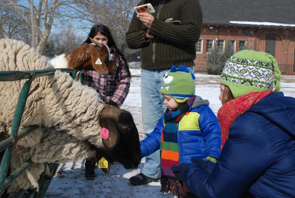 The petting zoo at the Clark Park Winter Carnival.