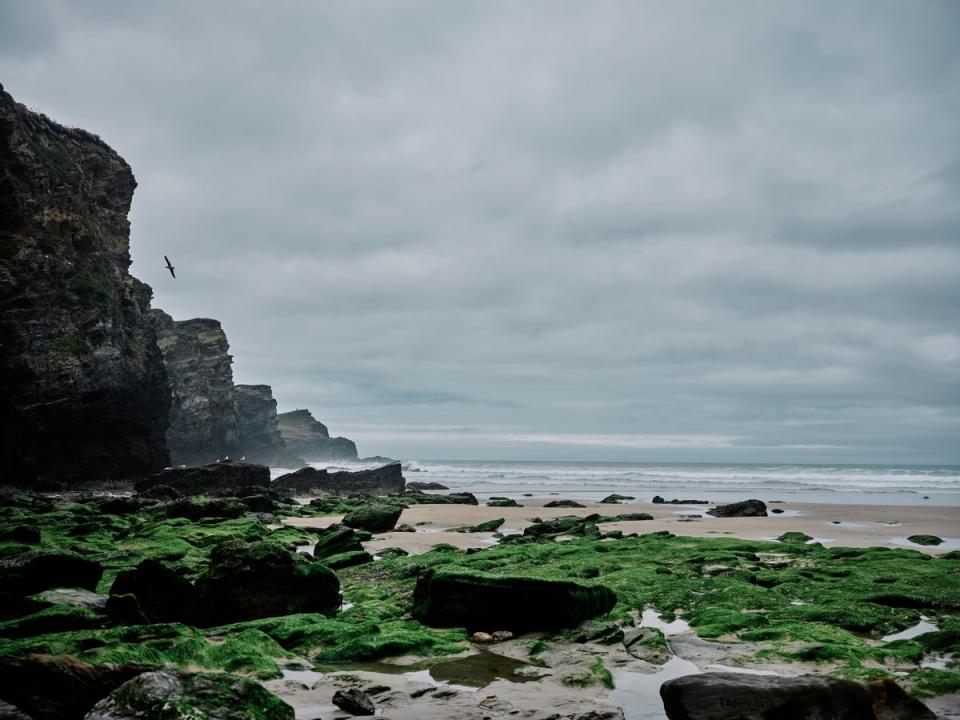 Learn the tricks of the trade in Newquay, Cornwall (Getty Images/iStockphoto)