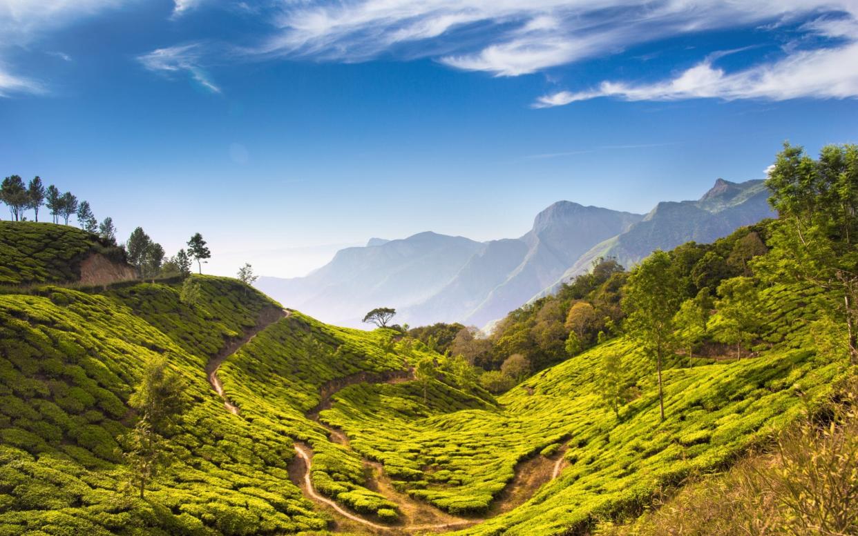 Kerala - Getty