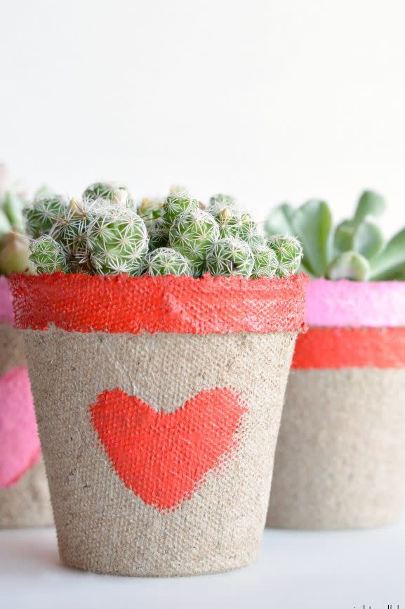 DIY Succulent Valentines