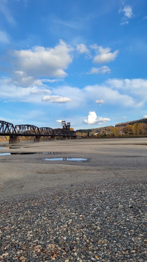 Low water levels are seen where the Nechako and Fraser rivers meet near Prince George on Oct. 12. (Andrew Kurjata/CBC - image credit)