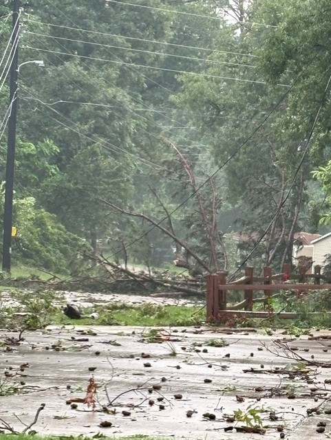 Storm damage in Frankston on Tuesday morning