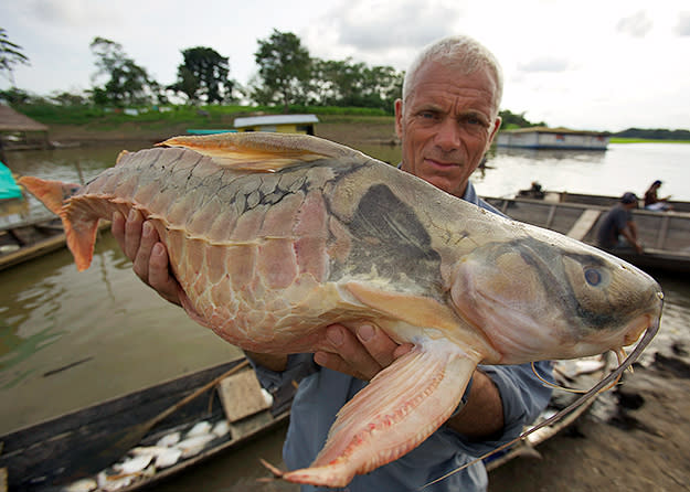 Animal Planet Sets 'Monster Week' Slate, Which Boasts Lots of 'River  Monsters' (Exclusive)
