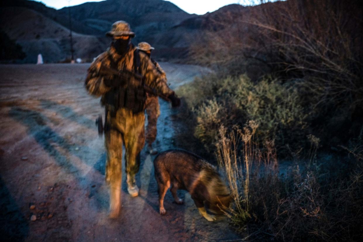 Two militia members in camouflage, along with a dog, patrol the border.